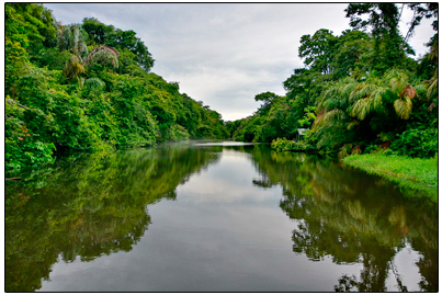 TORTUGUERO ONE DAY TOUR, Costa Rica Azul Travel